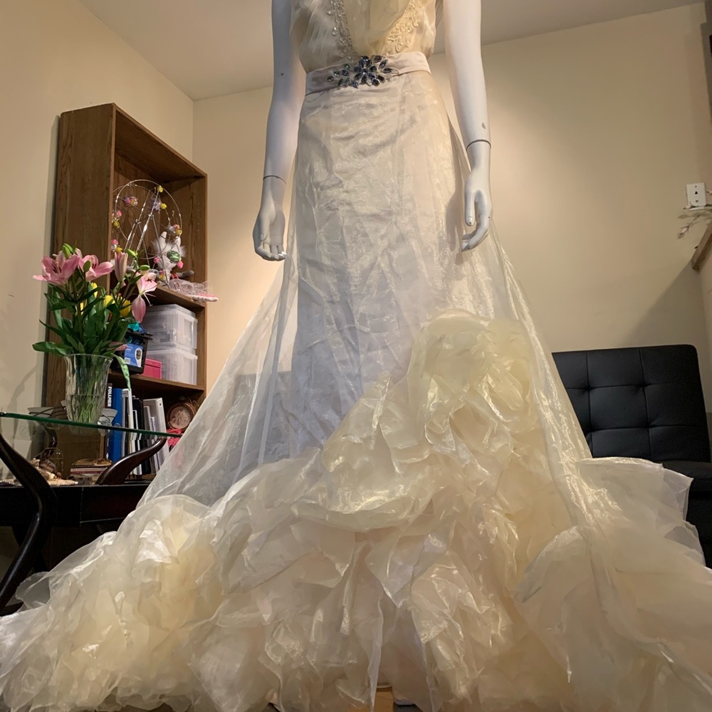 Formal Dress - Picture 7 of 8